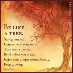 a tree with the words, be like a tree stay grounded connect with your roots turn over a new leaf bend before you break enjoy your unique natural beauty keep