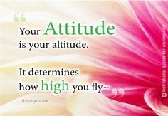 a pink flower with the words, your attitude is your altitude it determines how high you fly