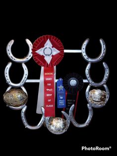 an award is placed in the middle of a circle with horseshoes and ribbons around it