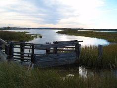 an old wooden boat sitting on top of a body of water next to tall grass