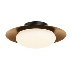 a ceiling light with an oval glass shade on the top and black metal trim around it