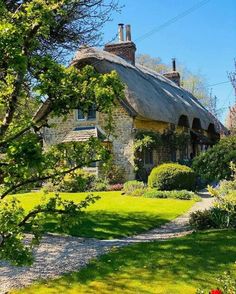 a house with a thatched roof surrounded by greenery and trees on a sunny day