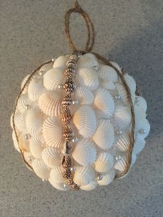 an ornament made out of seashells hanging on a wall