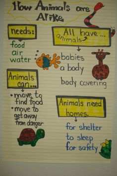 a poster with animals and words written on it that say how animals are able for safety