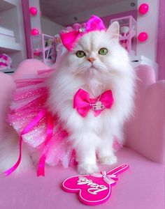 a white cat wearing a pink tutu and bow tie