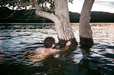 a man swimming in the water next to a tree