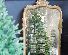 a christmas tree in front of a mirror with the names of its branches on it