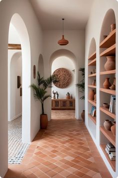 the hallway is lined with shelves and potted plants