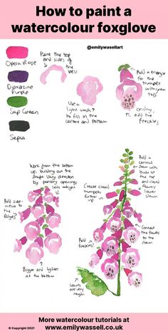 an image of how to paint a watercolor foxglove