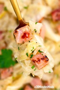 a spoon full of food with meat and noodles on it's side, as seen from above