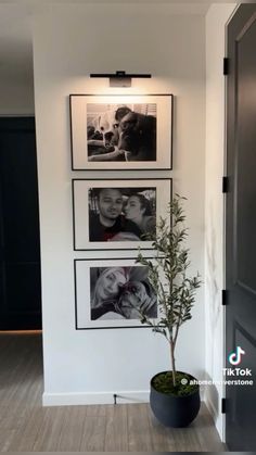 a potted plant sitting in front of three pictures on the wall next to a door