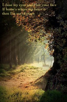 the sun shines through the trees on a foggy day in an open field