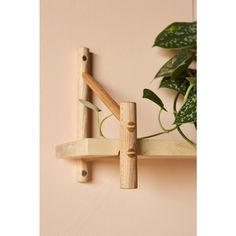 a wooden shelf holding a potted plant on it's side and two wood pegs attached to the wall