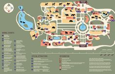 a map of the zoo with animals on it