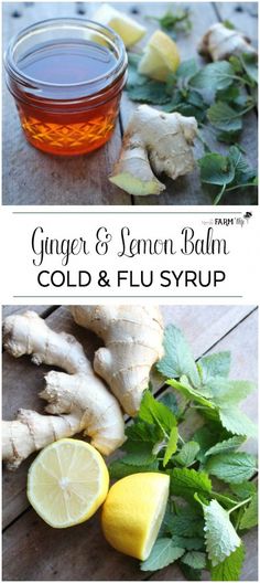 Herbal Syrups, Ginger And Lemon, Natural Medicine Cabinet, Herbal Health, Cold Sores Remedies, Herbal Recipes