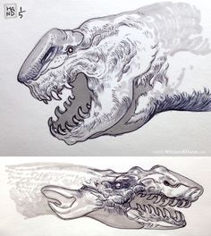 two drawings of an animal's teeth and the other one with it's mouth open