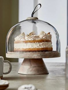 a cake under a glass dome on top of a table next to a cup and saucer