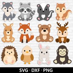 Woodland Animals Svg, Adventure Baby Shower, Woodland Bear, Animal Svg, Bird Silhouette, Forest Animal, Woodland Theme, Animal Clipart, Woodland Creatures