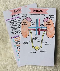 two medical diagrams on top of each other next to a pen and paper with the words rena written in it