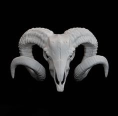 an animal skull with large horns on a black background