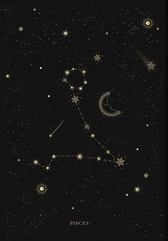 the zodiac sign pisces in the night sky with stars and moon on it