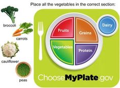 Suitable for even the youngest grades, this activity has two sections:  one where students fill each section of a plate, then one where they take a quiz to place 5 items in the correct sections.  Tap the timer to make it a game.

Can be used with special needs learners as well. Low Carb Diet Meal Plan, My Plate, Low Carb Diets, Food Pyramid, Vegetable Protein, Diet Vegetarian, Nutrition Education, Group Meals, Diet Meal Plans