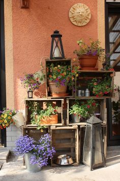 an assortment of potted plants in front of a building