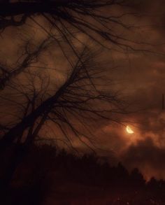 the sun is setting behind some trees on a gloomy night with dark clouds in the background