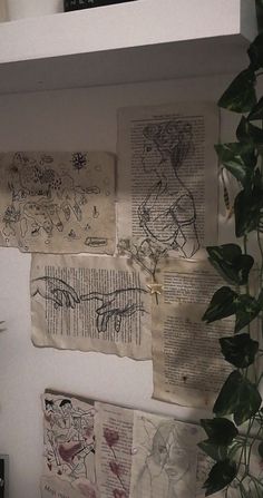 several pieces of paper with drawings on them are hanging on the wall next to a potted plant