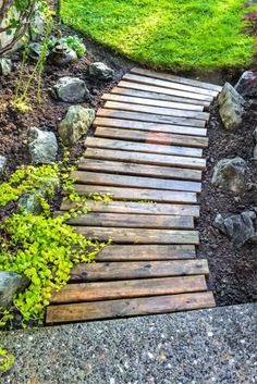 a wooden walkway in the middle of some rocks and grass with plants growing on it