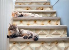 a cat laying on top of a set of stairs next to a wall with gold balls