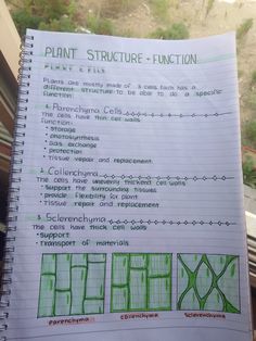 a hand holding up a notebook with plant structure - function notes written on the pages