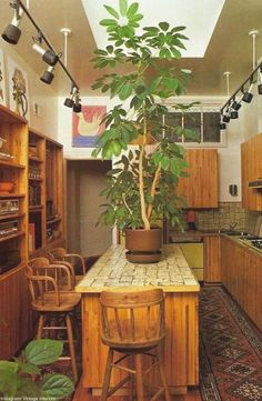 a potted plant sitting on top of a wooden table next to a kitchen counter