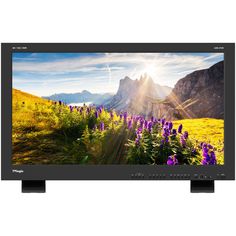 TVLogic LUM310X 31" 4K HDR Reference Monitor LUM310X B&H Photo