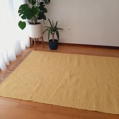 a living room with a rug and potted plants