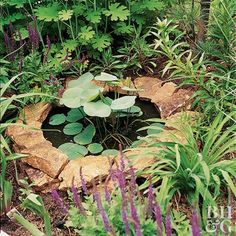 a pond surrounded by plants and rocks in the middle of a garden with purple flowers