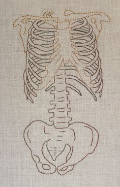 a cross stitch pattern with a skeleton and an elephant's rib cage on it