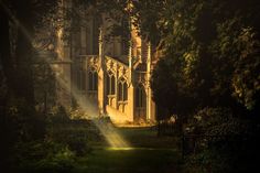 sunlight shining through the trees onto an old building