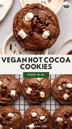 chocolate cookies with marshmallows on top and the words vegan hot cocoa cookies