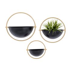 three black bowls with plants in them hanging from the wall on gold metal circular shelves