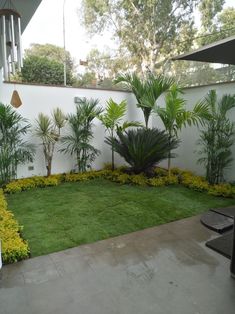 a small backyard with grass and plants in the center, next to a white fence