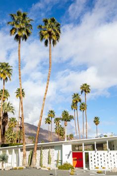 palm trees line the street in front of a modern building with red door and windows