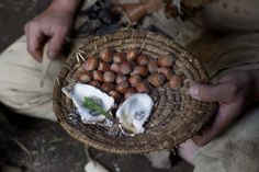 a person holding a basket filled with shells and other things in it's hands