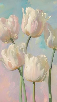 three white tulips in front of a blue sky