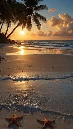 two starfishs are on the beach at sunset with palm trees in the background