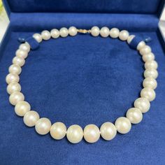 Unused Choker/Necklace Cultured Pearls From Freshwater Graduated Sizes Top Condition Includes Necklace Box Please Let Me Know If You Have Any Questions About My Items :) Fine Jewelry White Round Bead Necklaces, White Akoya Pearl Round Bridal Necklace, White Akoya Pearl Bridal Necklace, Round White Akoya Pearl Bridal Necklace, Classic White Bridal Necklace With 17 Jewels, Formal White Single Strand Bridal Necklace, Luxury Pearl White Round Beads Necklace, Luxury Pearl White Necklaces With Round Beads, Luxury Pearl White Round Bead Necklaces