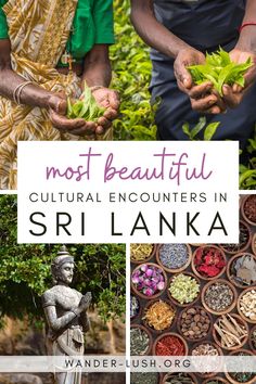 two people holding plants in their hands with the words most beautiful cultural encounters sri lanka