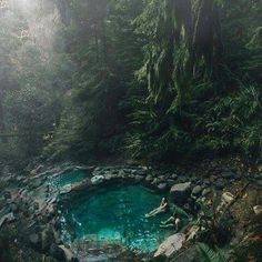 a small pool in the middle of a forest filled with rocks and water surrounded by trees