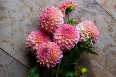 a bunch of pink flowers sitting on top of a wooden floor