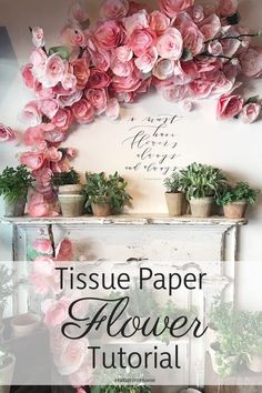 some pink flowers and potted plants in front of a wall with the words tissue paper flower